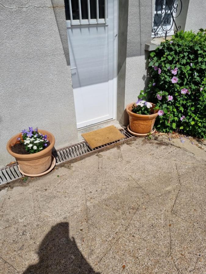 Location Saisonniere Appartement Situe A Saumur Exterior photo